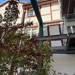 Heppenheim Mit Hund - 
