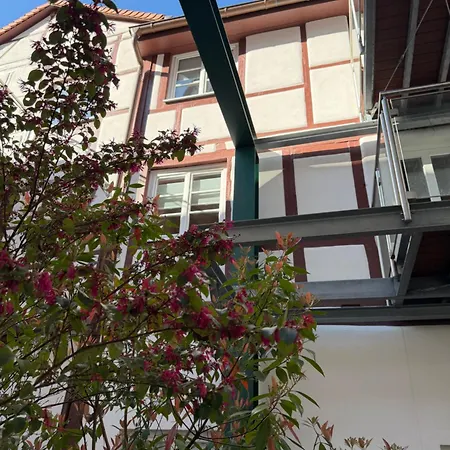Heppenheim Mit Hund - 